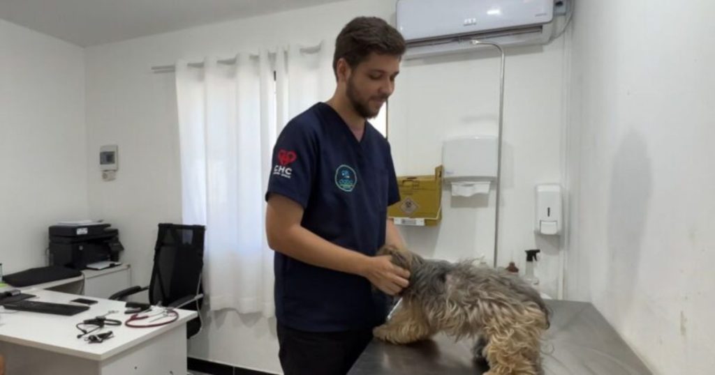 Mutirão de castração atenderá cães e gatos em cinco bairros de Navegantes