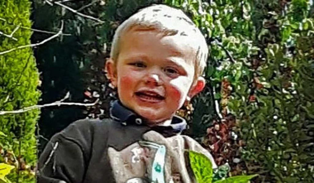 Criança de três anos morre atacada por cachorros de grande porte