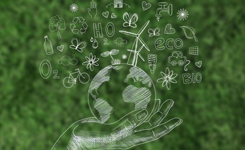 COP30 e a contradição brasileira