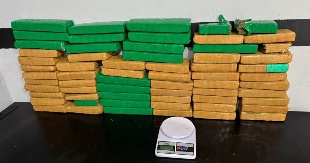 Polícia Civil prende foragido ligado ao Comando Vermelho e apreende 35 kg de maconha em Camboriú