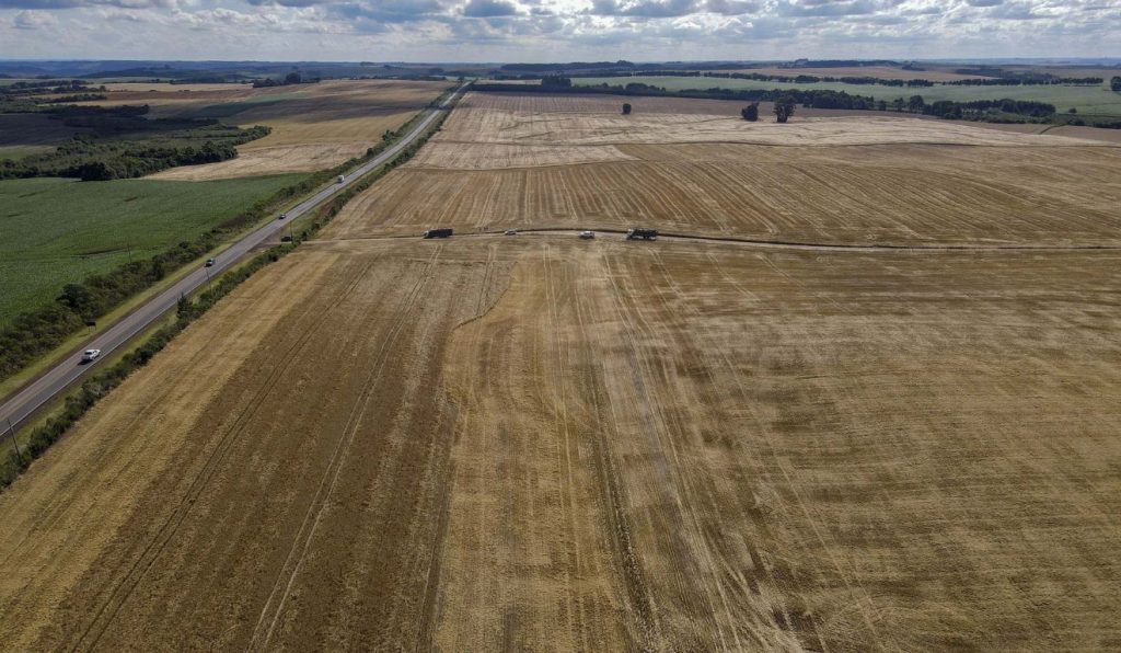 Paraná confirma maior safra de grãos da história com 46,8 milhões de toneladas