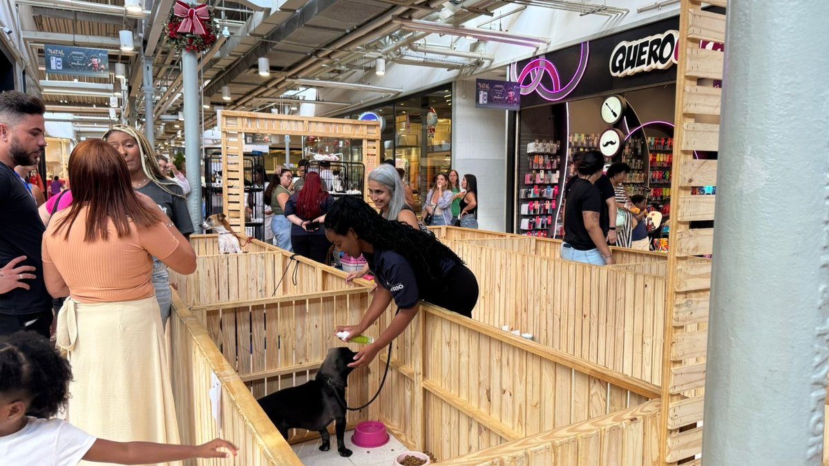 Feira-Adocao-Pet-Bangu-Shopping.jpg
